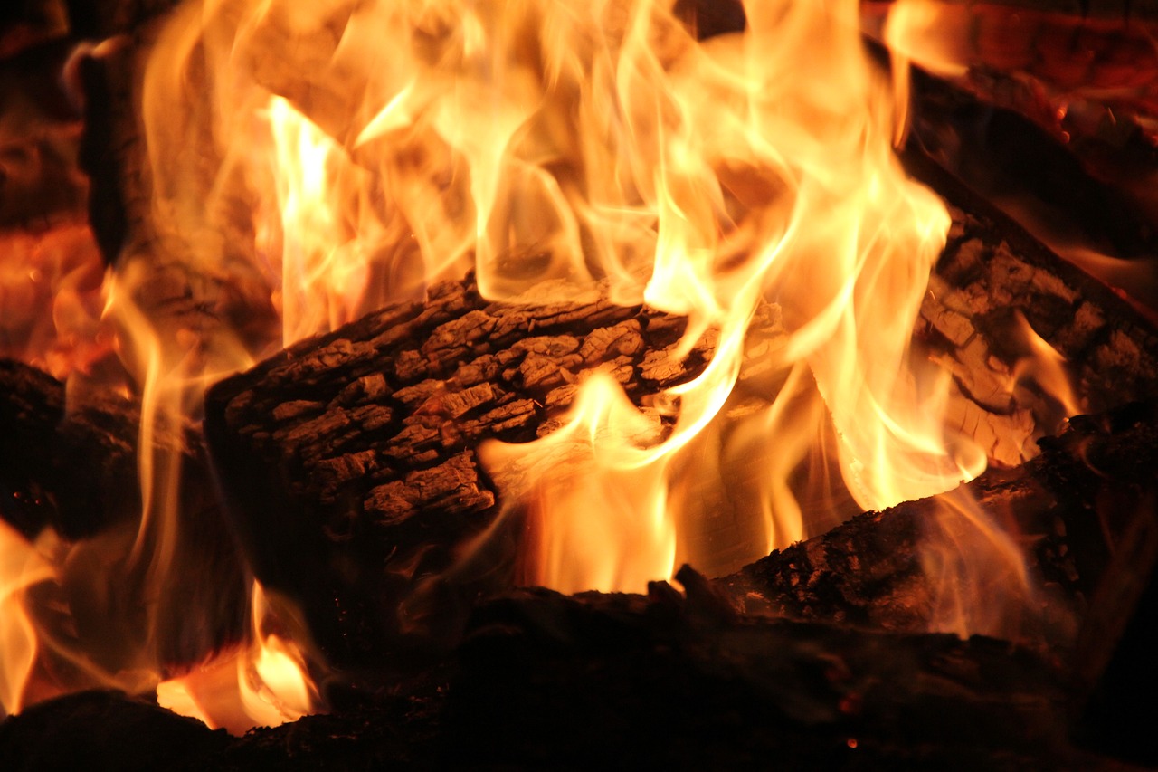 Professional Fireplace Cleaning Services In Maybee Michigan